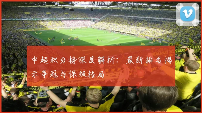 中超积分榜深度解析：最新排名揭示争冠与保级格局